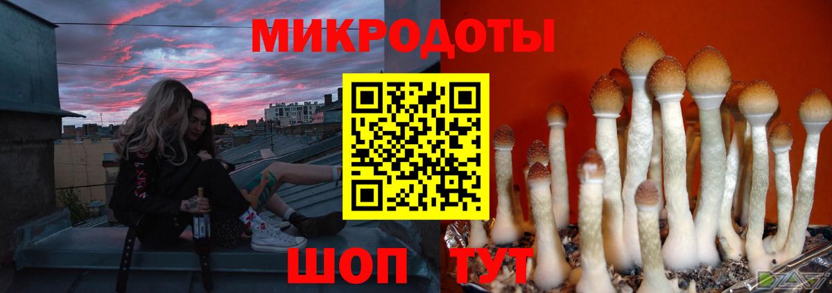 Отрадное  Галлюциногенные грибы ЛСД  Вход с VPN  Псилоцибиновые грибы мухоморы 